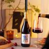Needle Type Cork Remover Corkscrew With Foil Cutter Wine Corkscrew  for Restaurant