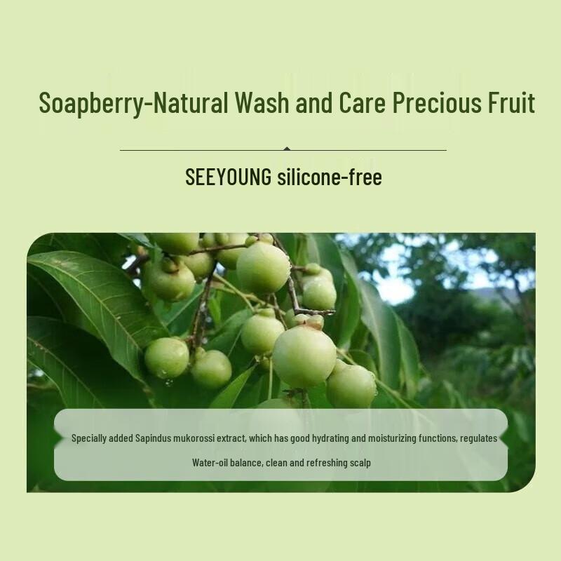 Ziyuan Soapberry Oil Control Shampoo 265ml