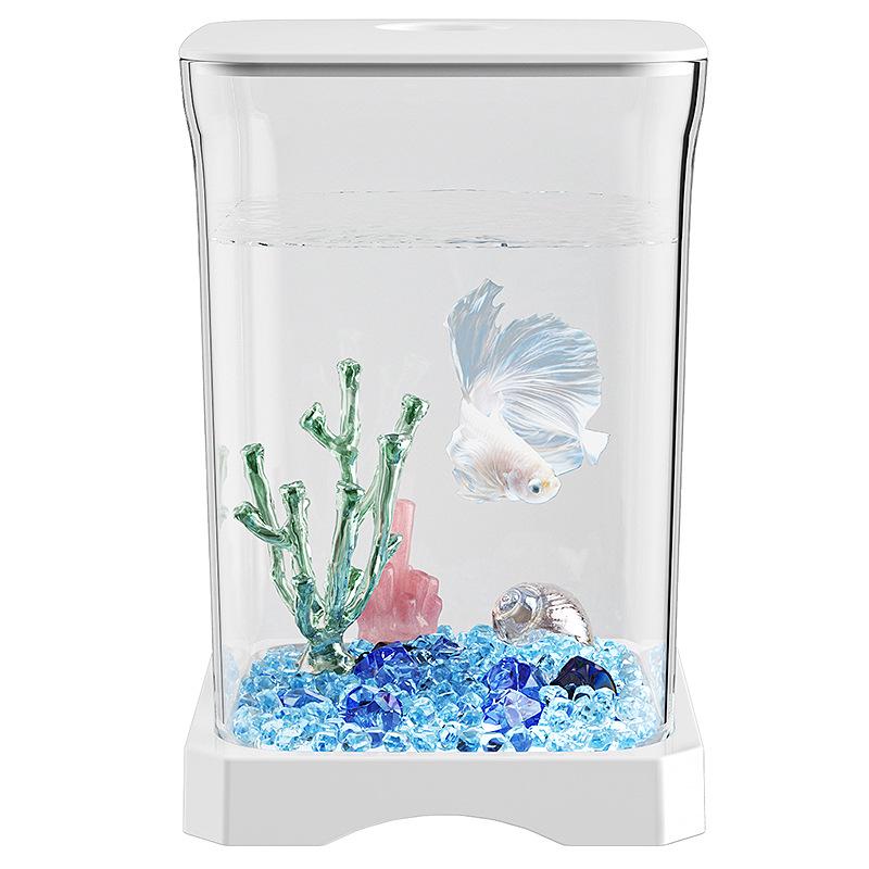 Douyu Small Goldfish Tank for Home and Office Décor
