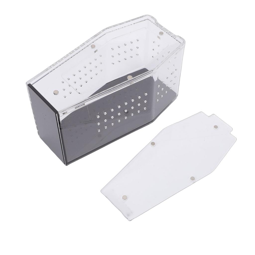 Acrylic  ing Spider Enclosure Versatile Ventilated Transparent Reptile Terrarium Box for Tarantula         Crab