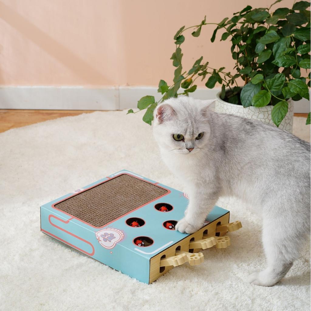 Cat Whack Toy Mole Corrugated Paper Scratch Board Cat Tease Toy Supplies Pet