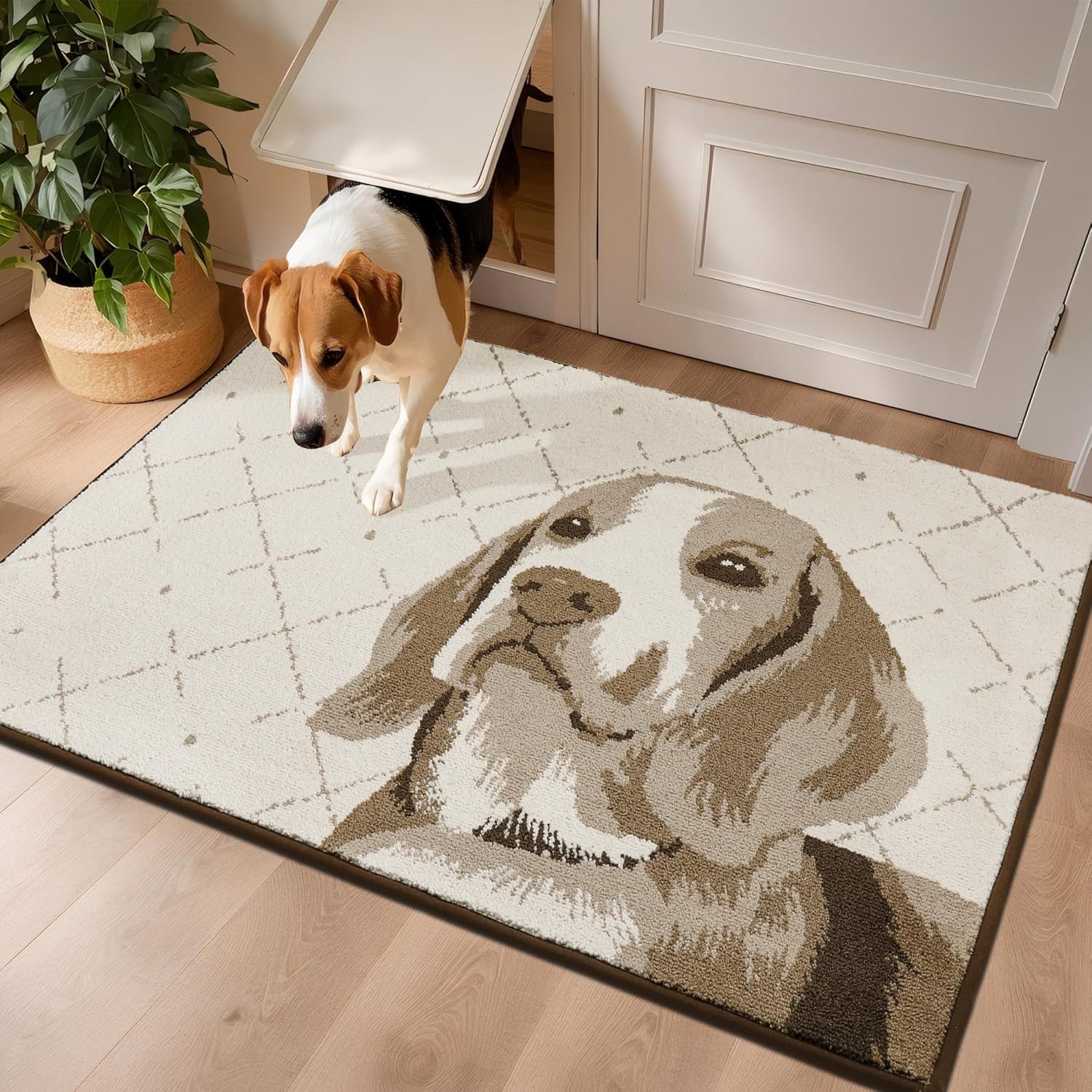 

COSY HOMEER Cat Welcome Mat 20 x32 Dirt Trapper Cat Door Mat Absorbent Entryway Rugs Funny Washable Non Slip Entry Rugs for Mud 50x80cm