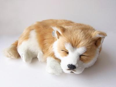 Ninian und Kino Perfekter Haustier Shiba Inu Niedlicher Hunde-Stofftier (Kleine Größe) Hund, Realistisch, Lebensecht, Tier, Beruhigend, Bewegend, Anwesend, Geschenk, Feier,