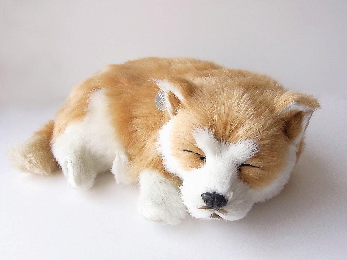 

Ninian and Kino Perfect Pet (Small Size) Shiba Inu Dog, Realistic, Lifelike, Animal, Soothing, Moving, Present, Gift, Celebration, Cute Dog Plush Toy