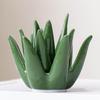 Ceramic Aloe Ring Holder Jewelry Display Tray Cactus Ring Dish Creative Trinket Organizer Bracelets Plate Necklace Earrings