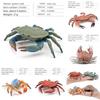 Marine Life Pvc Crab Model For Childrens Educational Aquarium Decor Toys