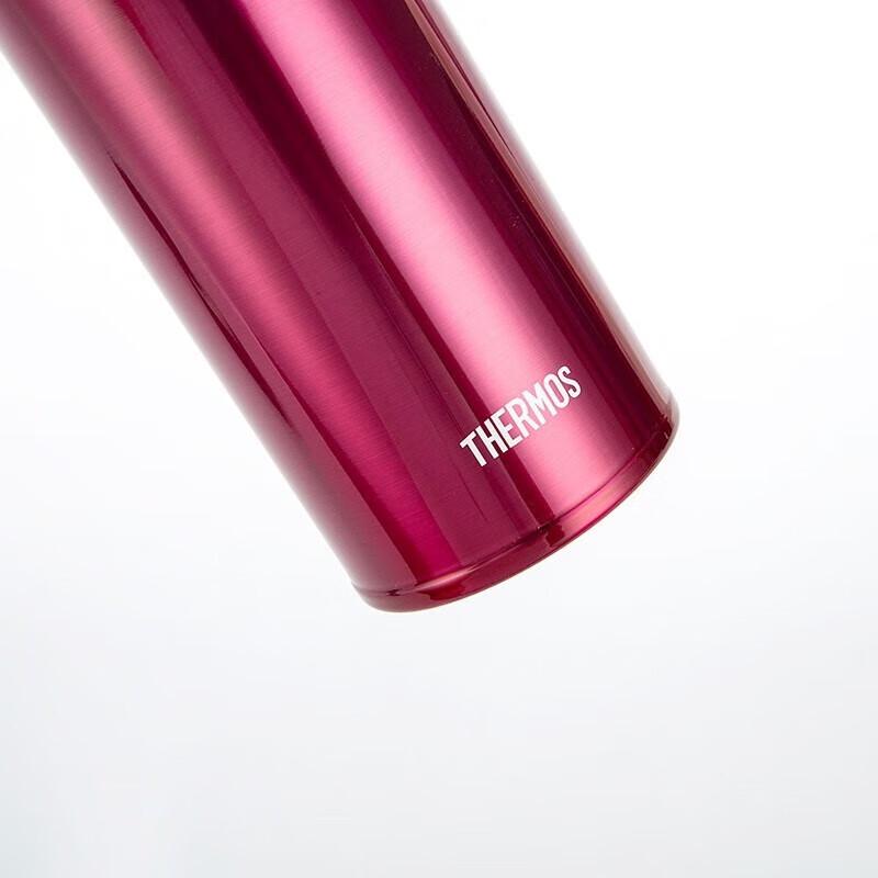 Thermos 304 Stainless Steel Insulated Bottle