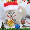 New Cat Intelligent Balls Advent Calendar 2025 Christmas Countdown Christmas Blind Box Teasing Interact Cat Toys Pet Supplies