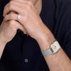 DANIEL WELLINGTON Style Series Watch Quartz Movement Stainless Steel Strap Beige Dial Men's Watch Simple Retro DW00100814