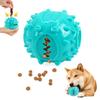 Interactive Dog Teething Ball - Bite-Resistant Toy for Self-Play, Dental Cleaning, and Boredom Relief