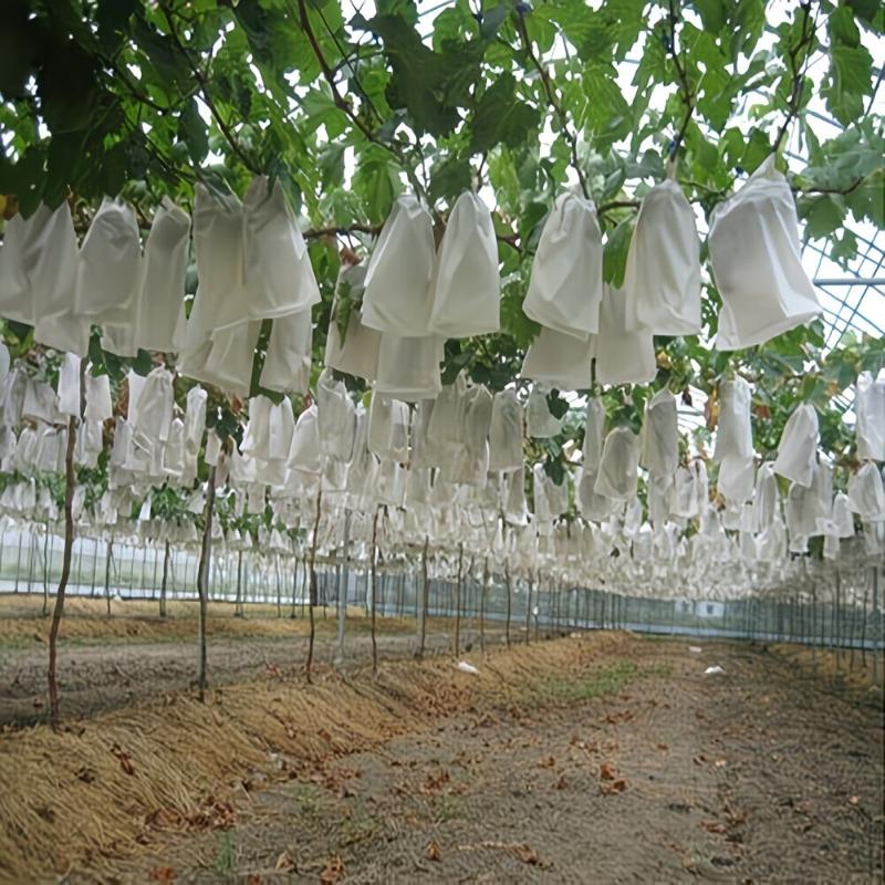 200pcs White Mesh Fruit Protection Bags Non-Woven Bird-proof Insect-proof for Vineyard Breathable Fruit Net Bags with Drawstring