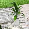 6PCS 210 X 130 Cm Plant Reflective Film High Reflectivity Keep Warm Greenhouse Covering Foil Foldable Silver