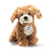 Steiff Curly Cockapoo, 24cm, 076909 (Official Japanese Product)