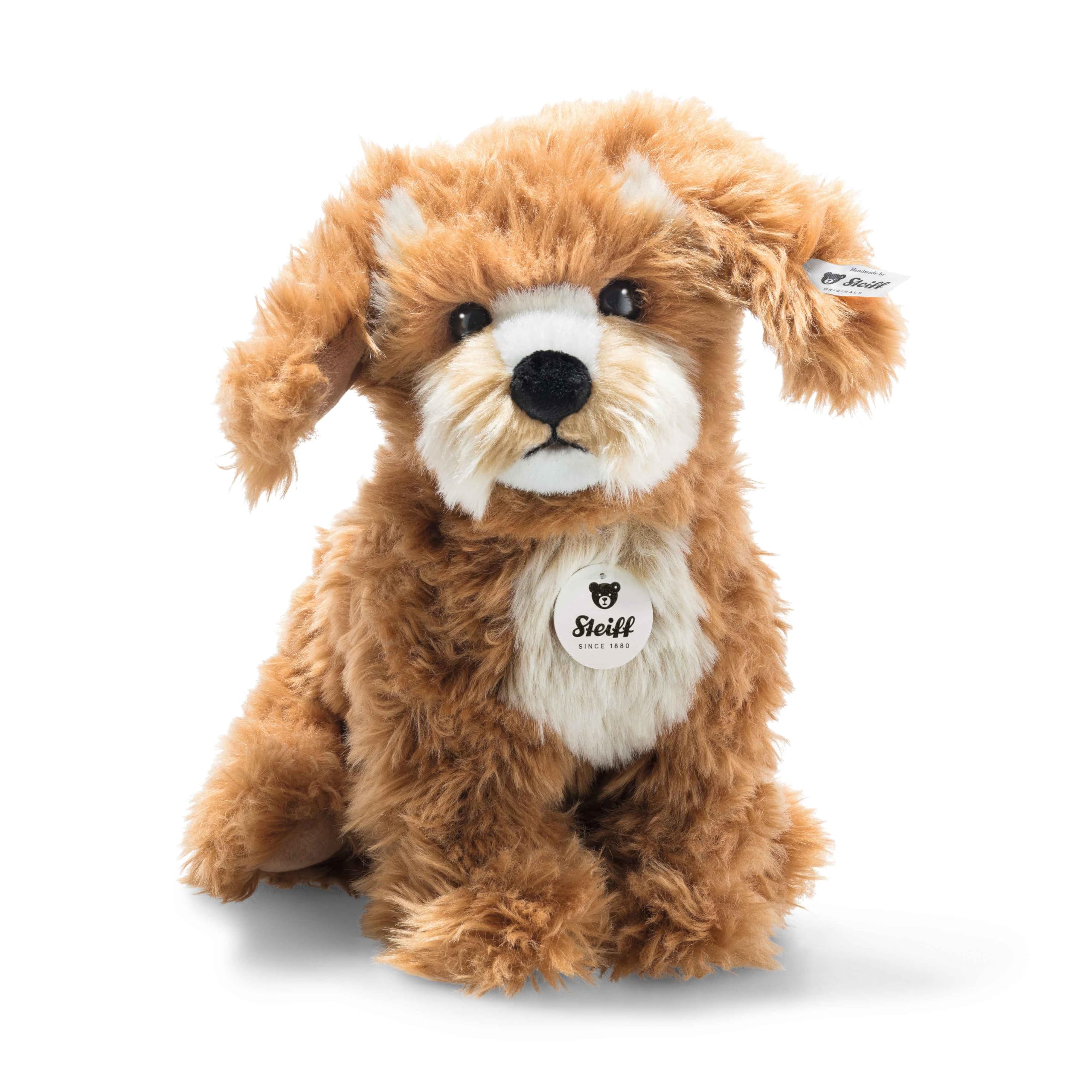 

Steiff Curly Cockapoo, 24cm, 076909 (Official Japanese Product)