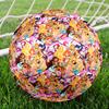 Winx Club Theme Size 5 Soccer Ball, Suitable for Both Indoor and Outdoor Matches, a Gift Suitable for Everyone.