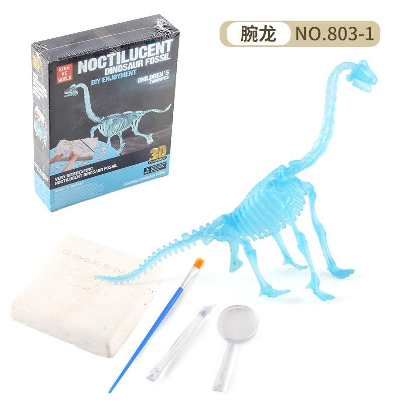 Source Assembly Gypsum Archaeological Skeleton Dinosaur Technology Toy 3D Dinosaur Fossil Skeleton Model