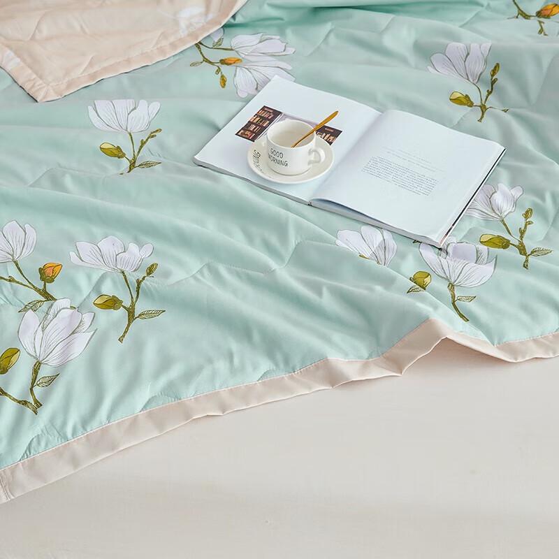 Yalu Brushed Printed Summer Quilt