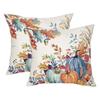 2Pcs Thanksgiving Decor Pillowcase Washable Pumpkin Print Cushion Cover Wear Resist Sofa Linen Pillow Covers for Outdoor Couch