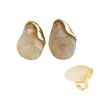 Stylish Ombres Irregular Rings Earrings Set Resin Alloy Texture Fashion Accessory Suitable for Fashion Lady Women Present