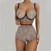 Two Piece Women's See Through Lace Lace Lace Lace Up Bra Sexy Lingerie Set Women's Lace Charm V-Neck Lingerie Set