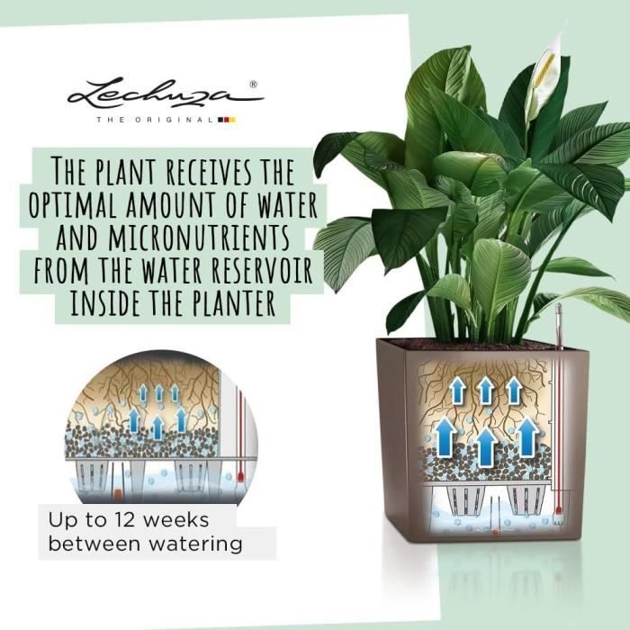 Pot de fleur lechuza cube premium 50 - kit complet, anthracite métallisé