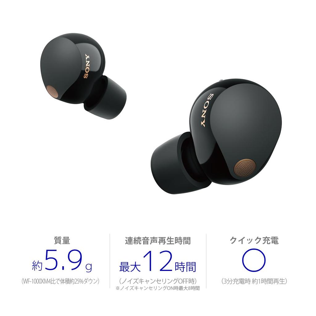 Sony Wireless Earphones MISIA Commercial Model True Wireless Overwhelming Noise Cancelling Performance Compact and Lightweight Design Microphone for