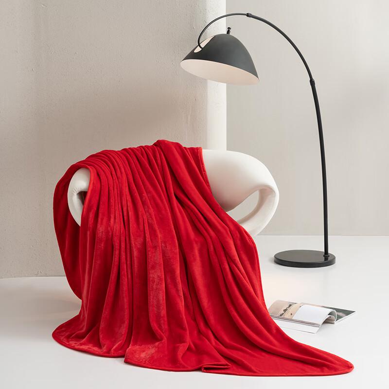 

Mercury Home Textiles Flannel Goose Down Quilt