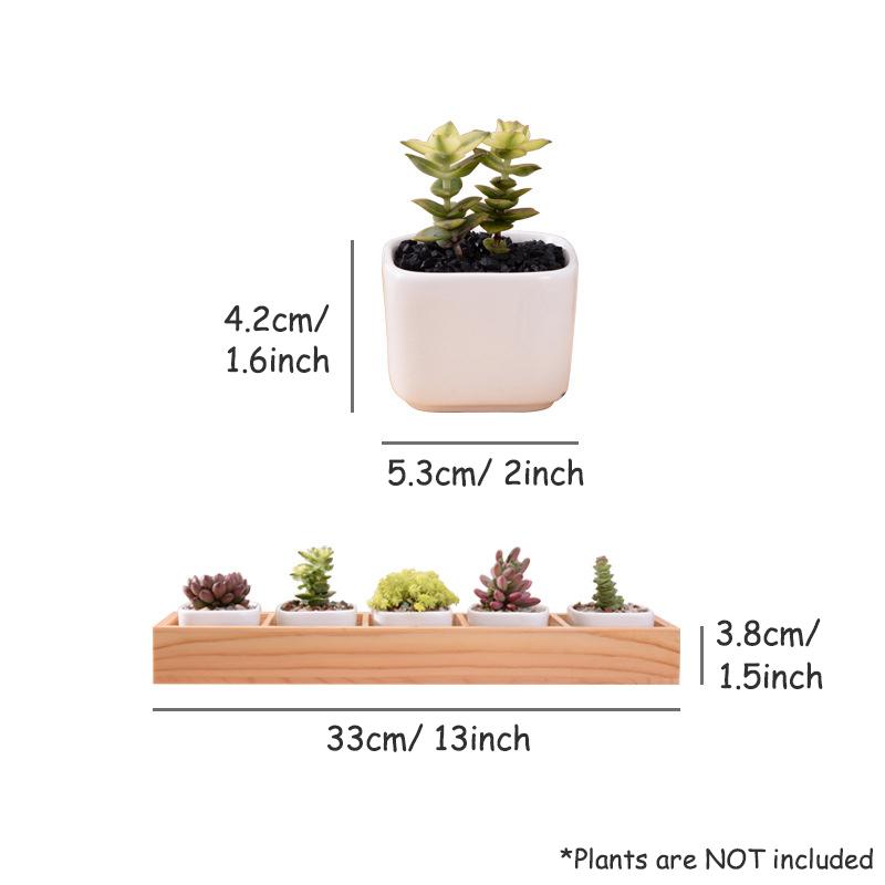 Set of 5 Ceramic Succulent Pots – Mini Flower Planters with Bamboo Tray for Home & Office Decor
