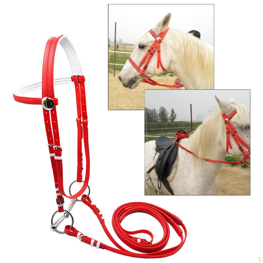 Horse Bridle with Rein Halter Versatile Stainless Steel Bit Headstall Riding Rope for Club