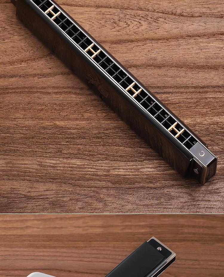 Guoguang 24-Hole Harmonica Set: Beginner to Pro Level, Double Reed, 12 Keys, Suitable for All Ages.