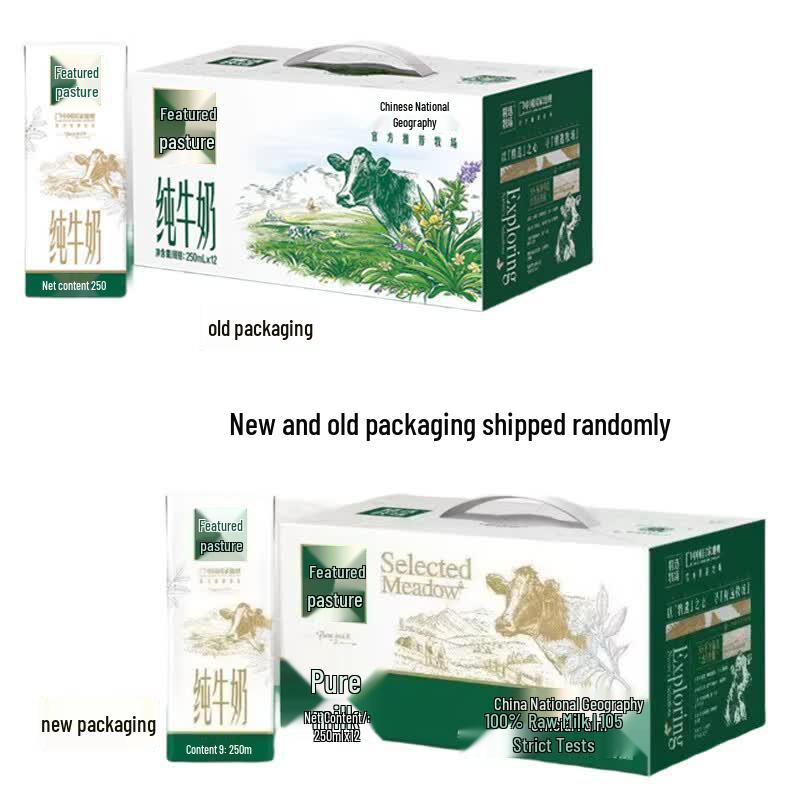 Mengniu Selected Ranch Full Fat Pure Milk 250ml (Pack of 12)