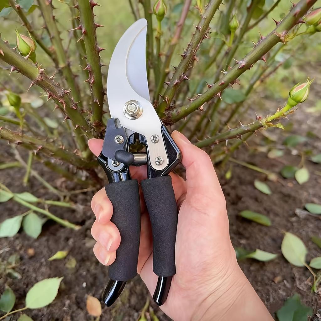 Garden Scissors for Pruning Branches And Picking Fruits Garden Accessories