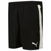Puma Teamliga shorts