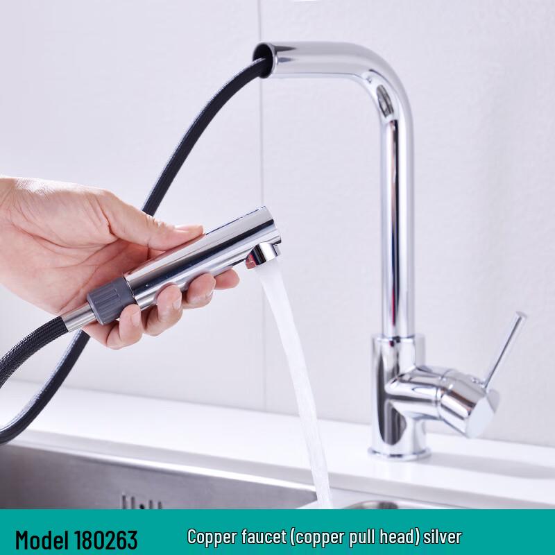 Xuan Yong Pull-Out Kitchen Faucet