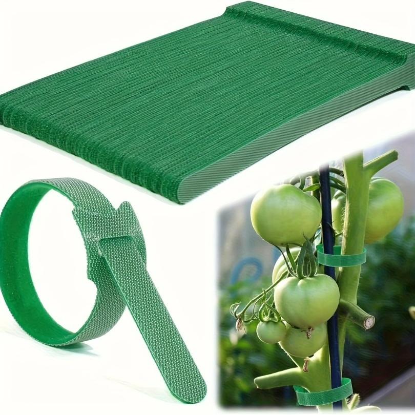 

100Pcs Reusable 6 Inch Adjustable Nylon Plant Ties Non-Slip Hook and Loop Fasteners Garden Tape for Climbing Plants Support
