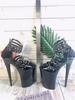 Fashion Pointed nail black sandals for women New fashion in 2025 Summer fashion High heels Slim heels for women Sandals Fairy