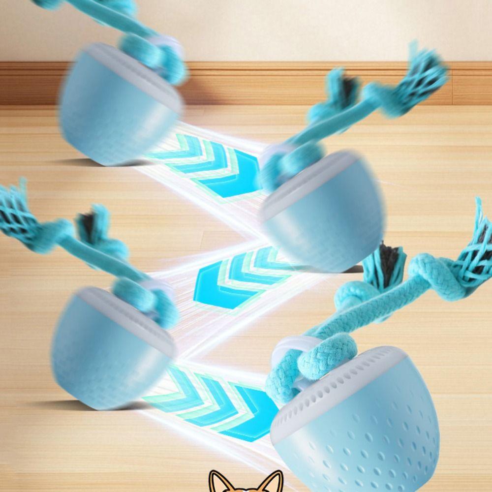Bite Resistant Smart Pet Toy Ball Random Path 3 Modes Interactive Dog Toy Ball USB Charging with Rope Active Rolling Ball