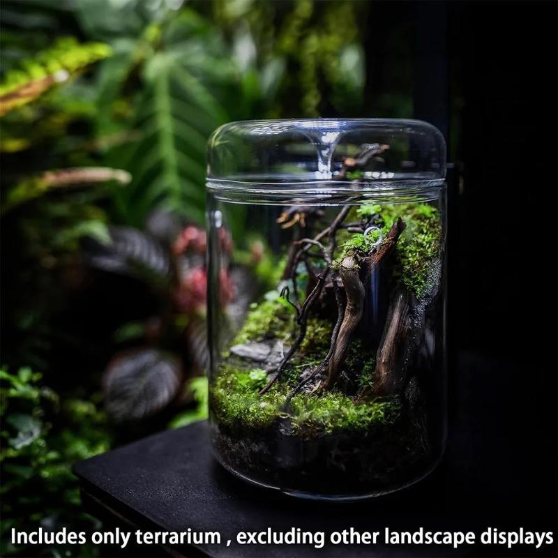 Glasflaschen Kreativität Tausammlung Glasvase Mikro-Landschaft Sukkulente Moos-Landschaft Glas-Terrarium Heimdeko