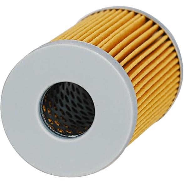 (Pack of 5) Fuel Filter Element 1A001-43160 15521-43160 Compatible with Kubota D&V Series Engine L235 L2250 L2650 L275 L2850 L2900 L2950 L2650 L4300