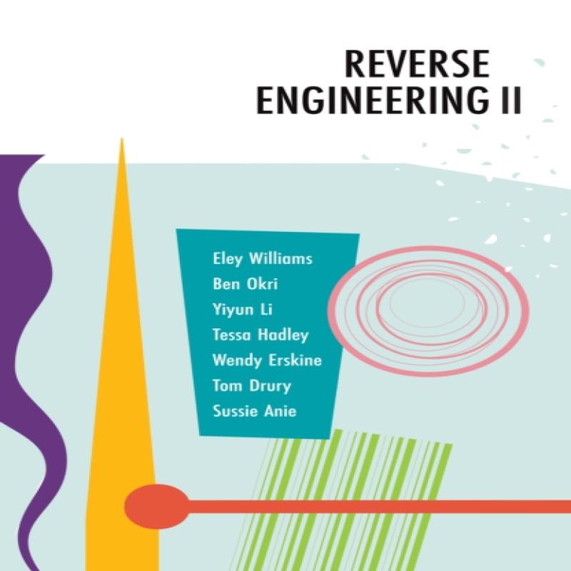 Reverse Engineering II by Sussie Anie Paperback Book 9781739830137