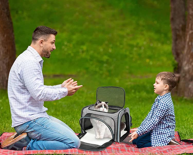 DICOCO Foldable Dog Carrier Bag with Expandable Washable Mat for Cats and Soft Large and Shoulder Strap for Travel Medium/Small Dogs, Crate, Capacity,