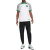 New Nike Nigeria 2022/23 Stadium Away Jersey DN0695-100