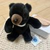 [USED] Anonymous Shipping, Tagged, Yoshitoku Stuffed Animal, Asiatic Black Bear, Teddy Bear