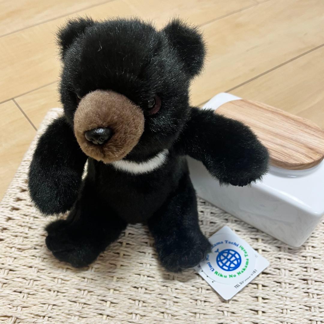

[USED] Anonymous shipping, tagged, Yoshitoku stuffed animal, Asiatic black bear, teddy bear
