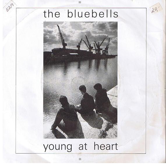 7inch Record BLUEBELLS  Young At Heart LON49 LONDON 1984 UK Rock Used