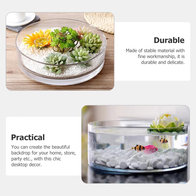 HANABASS Round Glass Terrarium Vase, Transparent Galantar for Hydroponic Cultivation, 3.15" Diameter, 5.91" Height, Interior Decor, for Succulents
