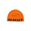 [Mammut] Logo Beanie 1191-04891 Arumita-night