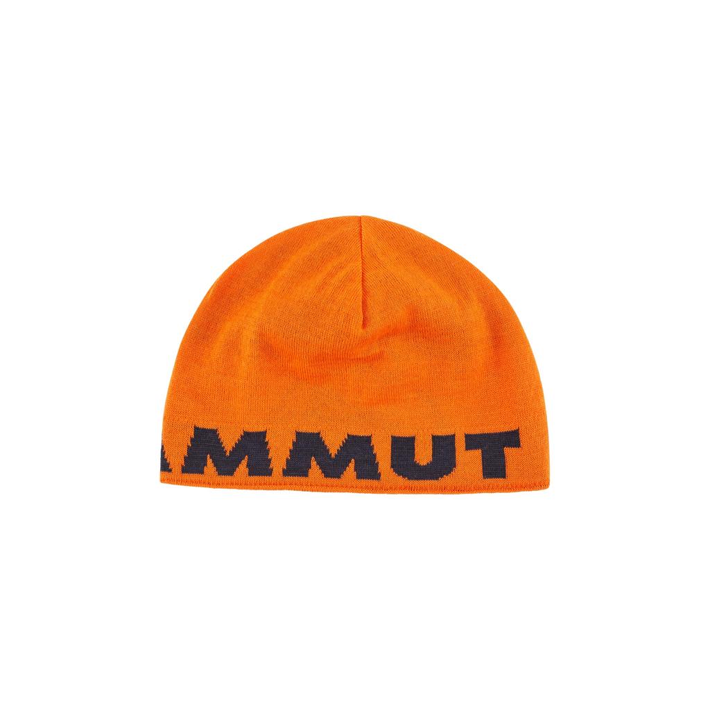 [Mammut] Logo Beanie 1191-04891 Arumita-night