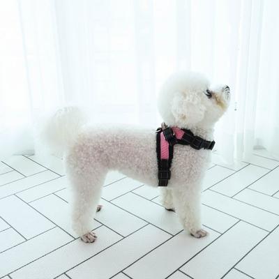 Dingdongpet Hunde-Mesh-Basisgeschirr, rosa
