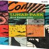 Lunar Park by Bret Easton Ellis Paperback Book 9781035012732